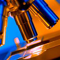Custom Microscope Systems and Accessories